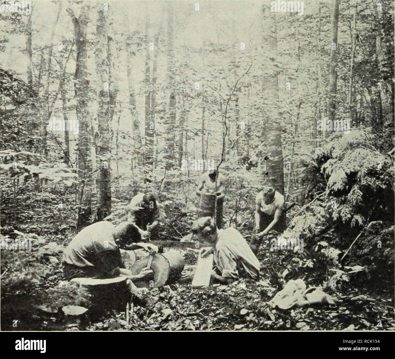 . Elements of forestry. Forests and forestry. 164 ELEMENTS OF FORESTRY