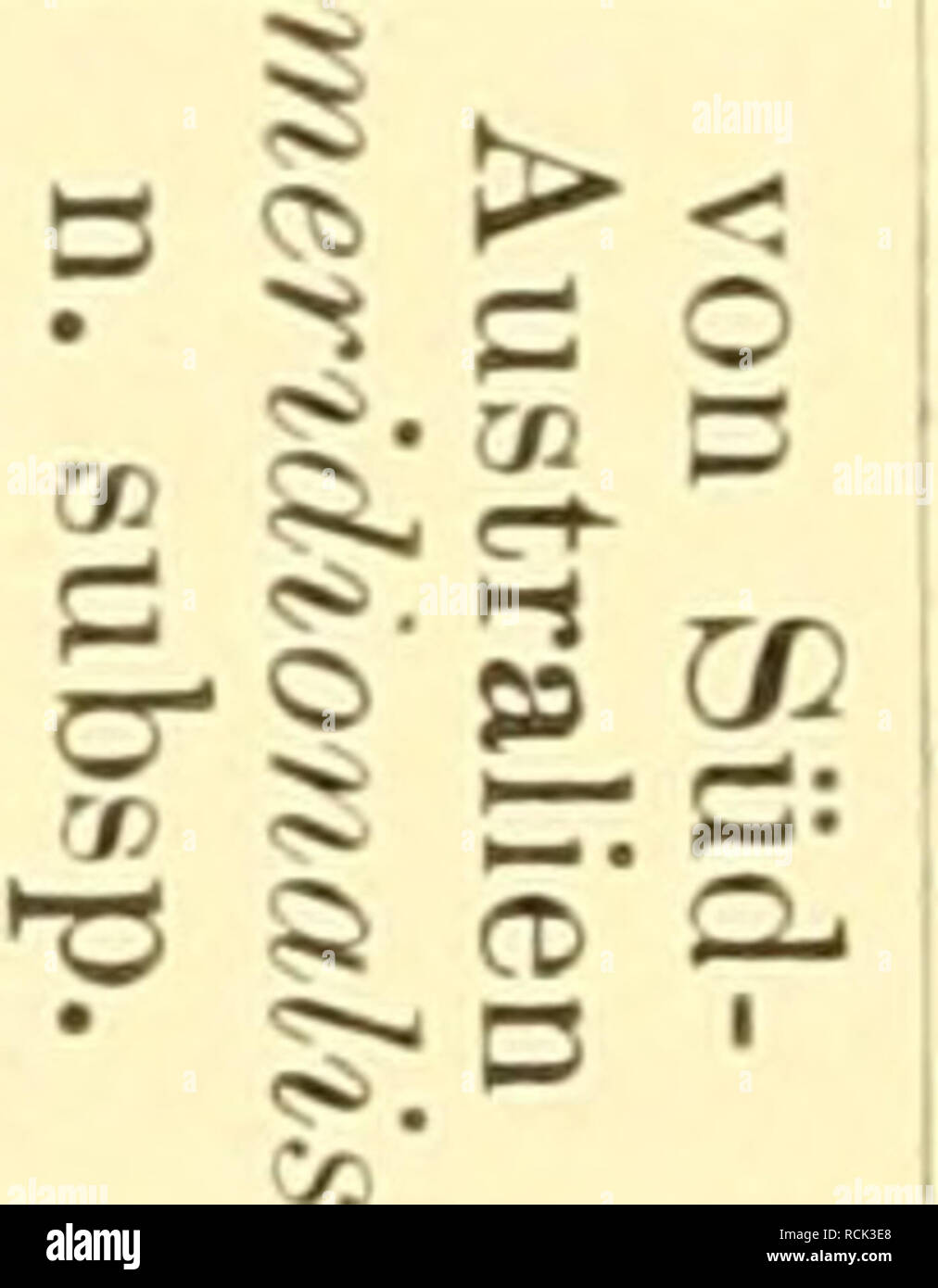 Page 2 B A P S High Resolution Stock Photography And Images Alamy