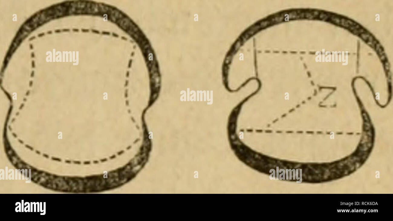 G Wix High Resolution Stock Photography And Images Alamy