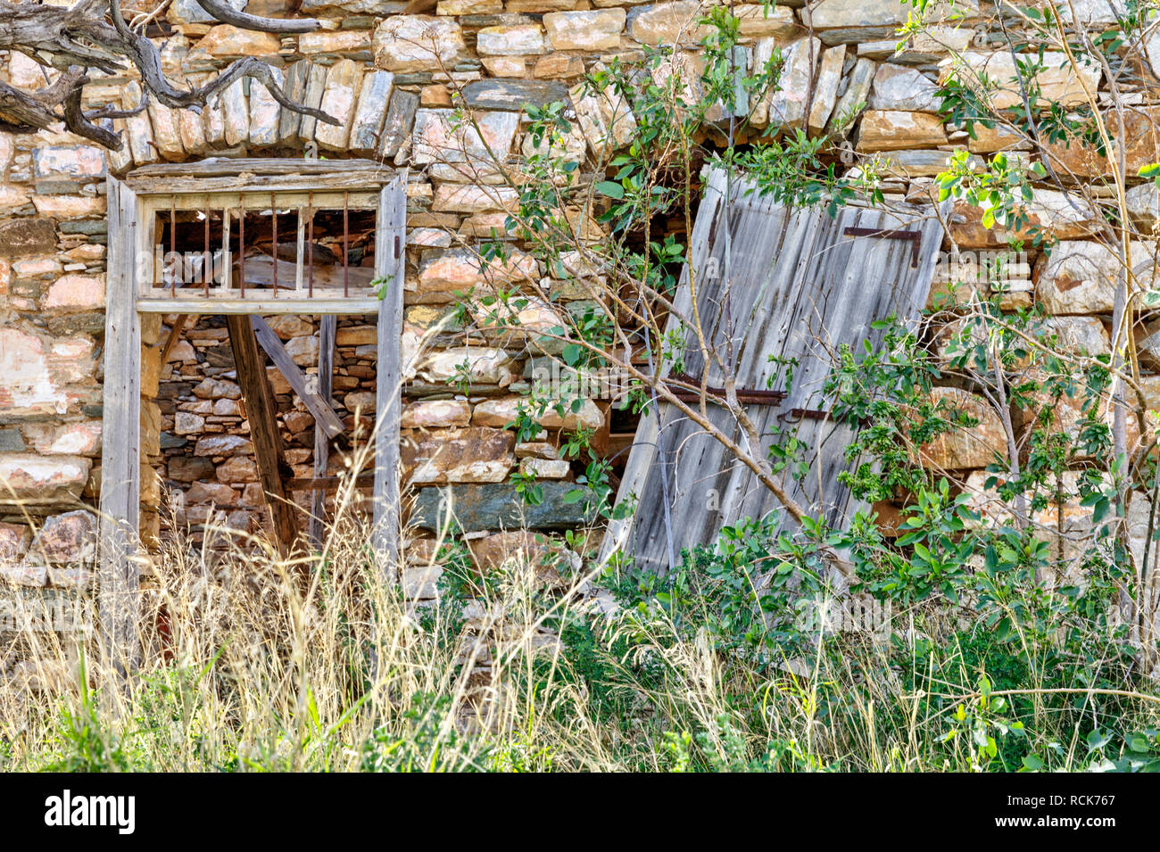 Broken wooden window and door in a derrelict  deserted  urban house with overgrown shrub . Stock Image. Stock Photo