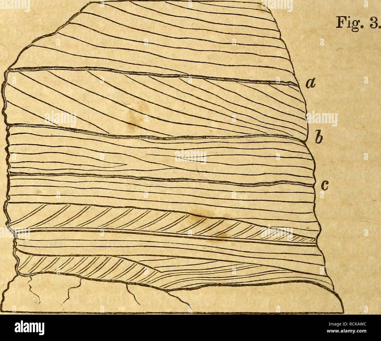 . Elements of geology. Geology. 32 LYELL'S ELEMENTS OF GEOLOGY ...