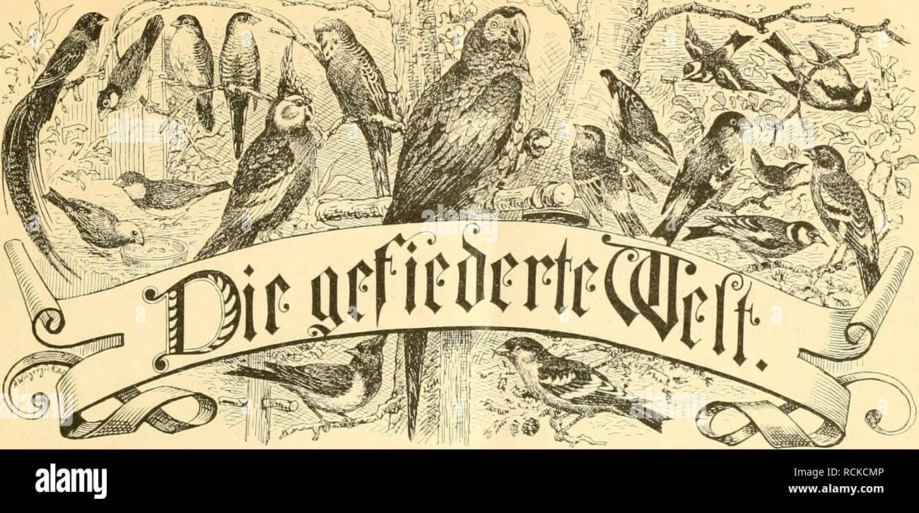 Page 7 Nni High Resolution Stock Photography And Images Alamy