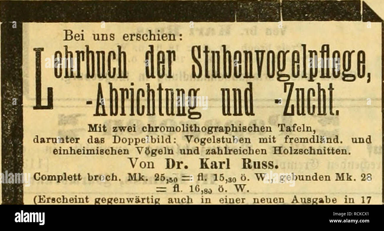 Die Gefiederte Welt Birds 480 S3ie Gefieberte Sbelt Eitjd Rift Fa R Sogellteb Aber