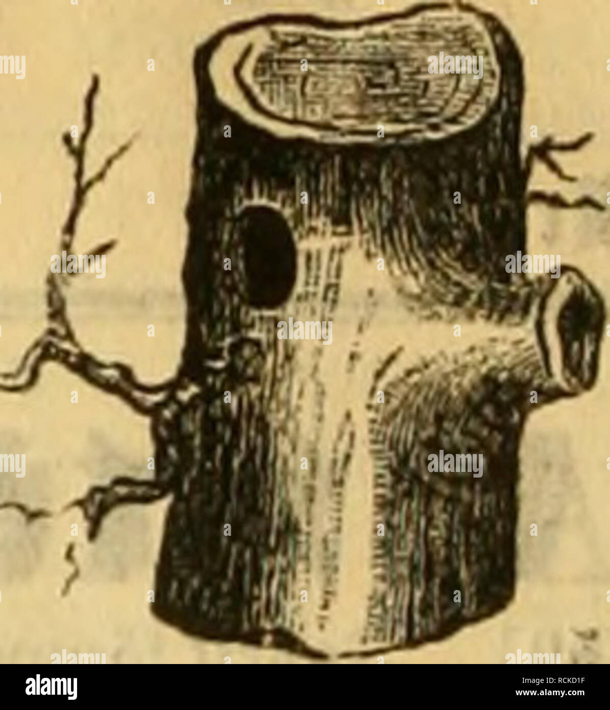 Page 2 Ax 6 High Resolution Stock Photography And Images Alamy