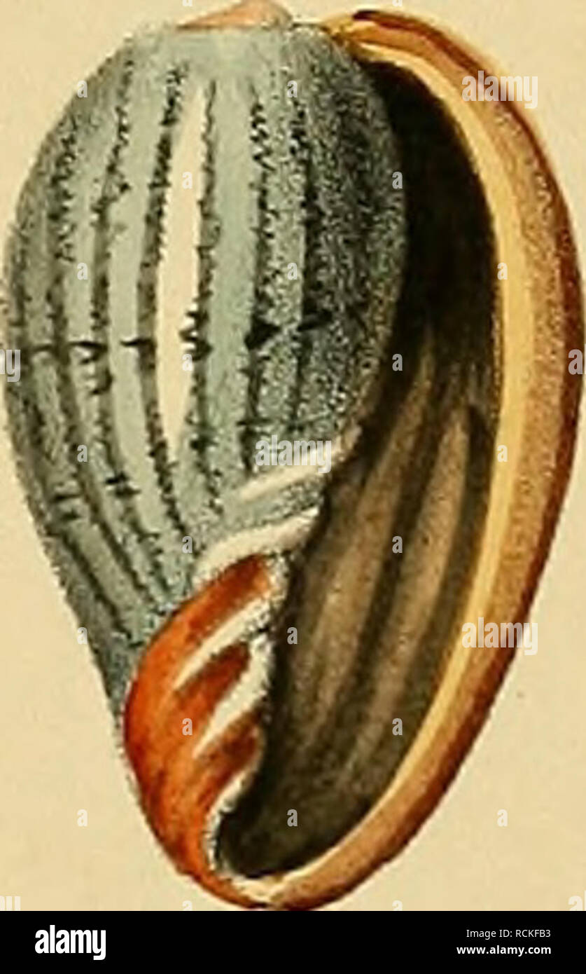 W C Bauer High Resolution Stock Photography And Images Alamy