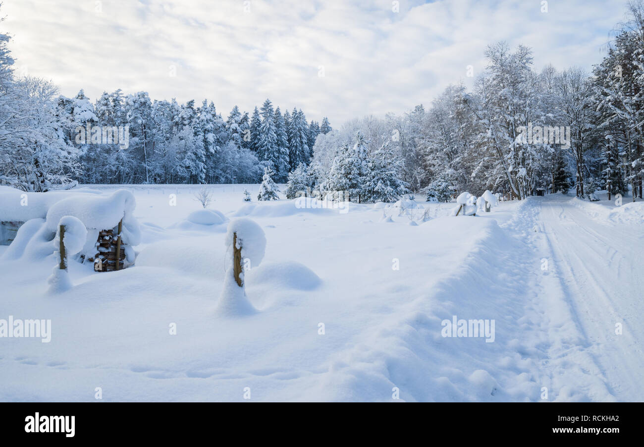 Snow-covered landscape in the countryside. Viitna, Estonia Stock Photo