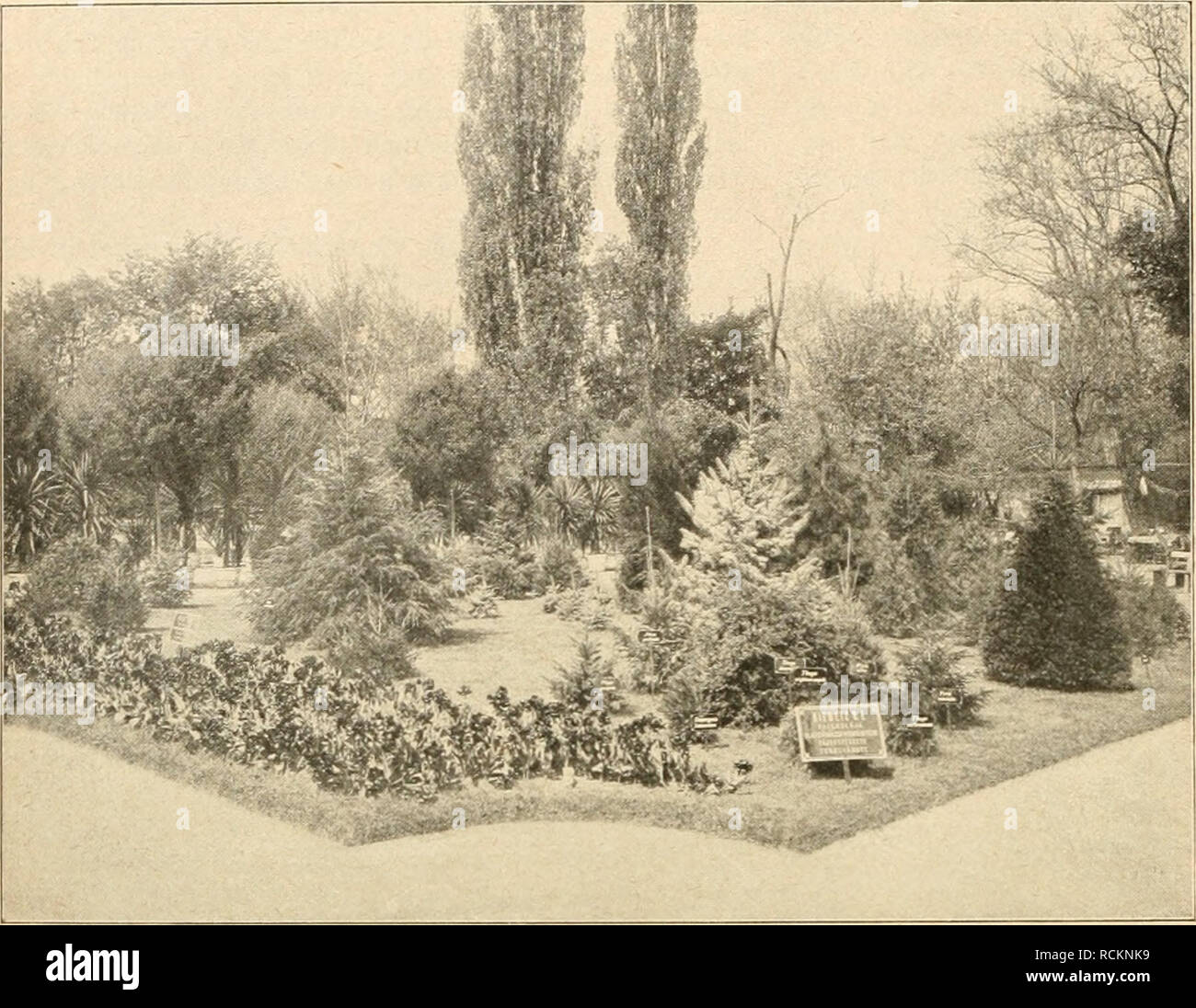 . Die Gartenwelt. Gardening. 424 Die G a r t e n vv e 11. VI, 36. AusstelluDgsgruppe im Freien auf der internationalen Gartenbau-Ausstellung. Originalaufnahtiie für die .,Gartenwelt". Firma immer selbst. Seine Prämiieruiigstafel trägt fast alle Städte Europas und sieben Dörfer; nur zwei Städte stehen darauf, wo Vater Gerntz ohne Preise ausgegangen ist und aus berechtigter Entrüstung hat er die Namen dieser Städte auf den Kopf gestellt, damit keiner diese Undankbaren lesen kann. Als ich diesen, mir von dem alten Herrn einmal mitgeteilten Thatbestand unseren unga- rischen Kollegen verriet, Stock Photo