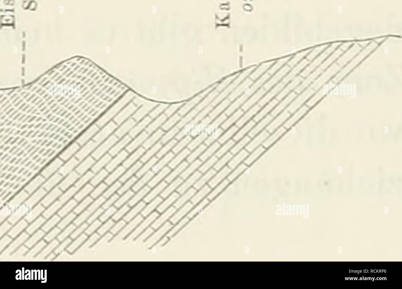 Bivalves geology hi-res stock photography and images - Page 2 - Alamy