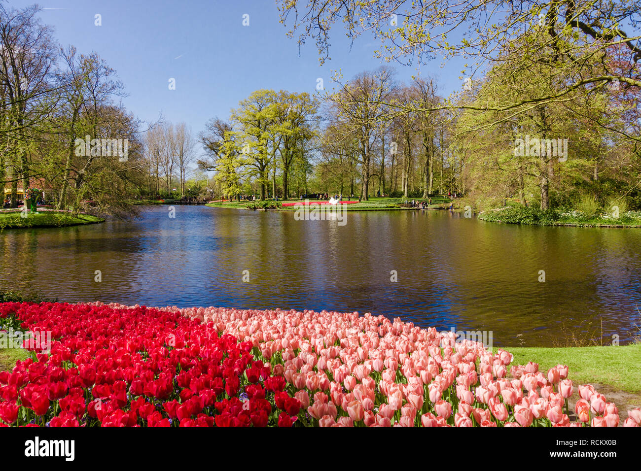 KEUKENHOF, LISSE, NETHERLANDS - April 18, 2016: Keukenhof park in Amsterdam area, Netherlands. Spring blossom in Keukenhof Stock Photo