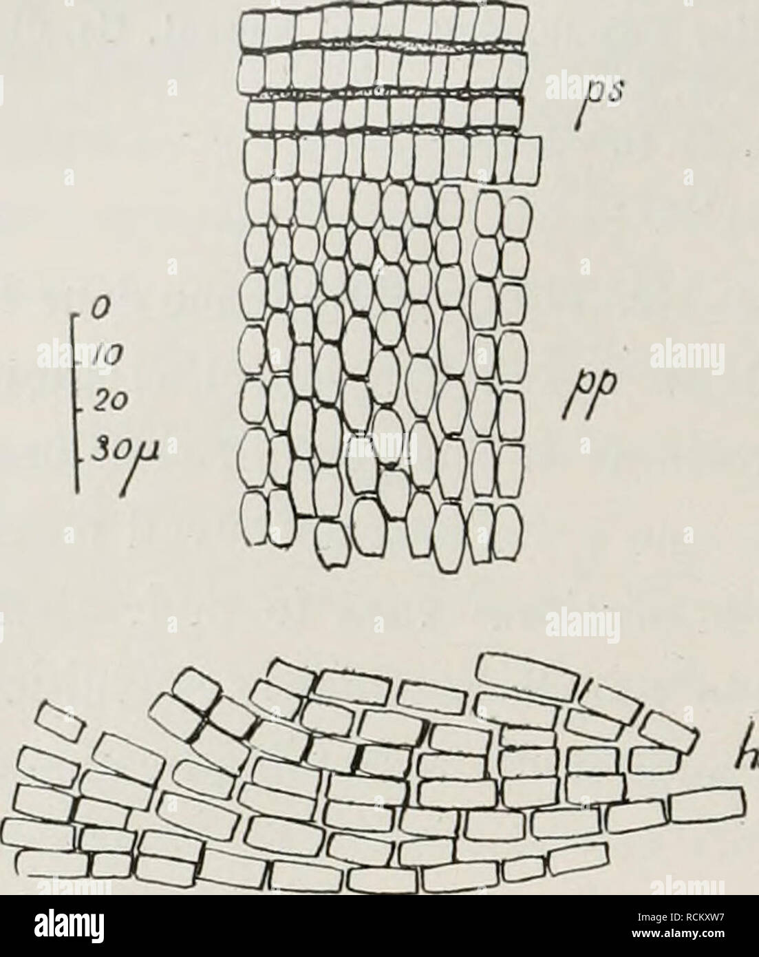 Page 47 B E 12 High Resolution Stock Photography And Images Alamy