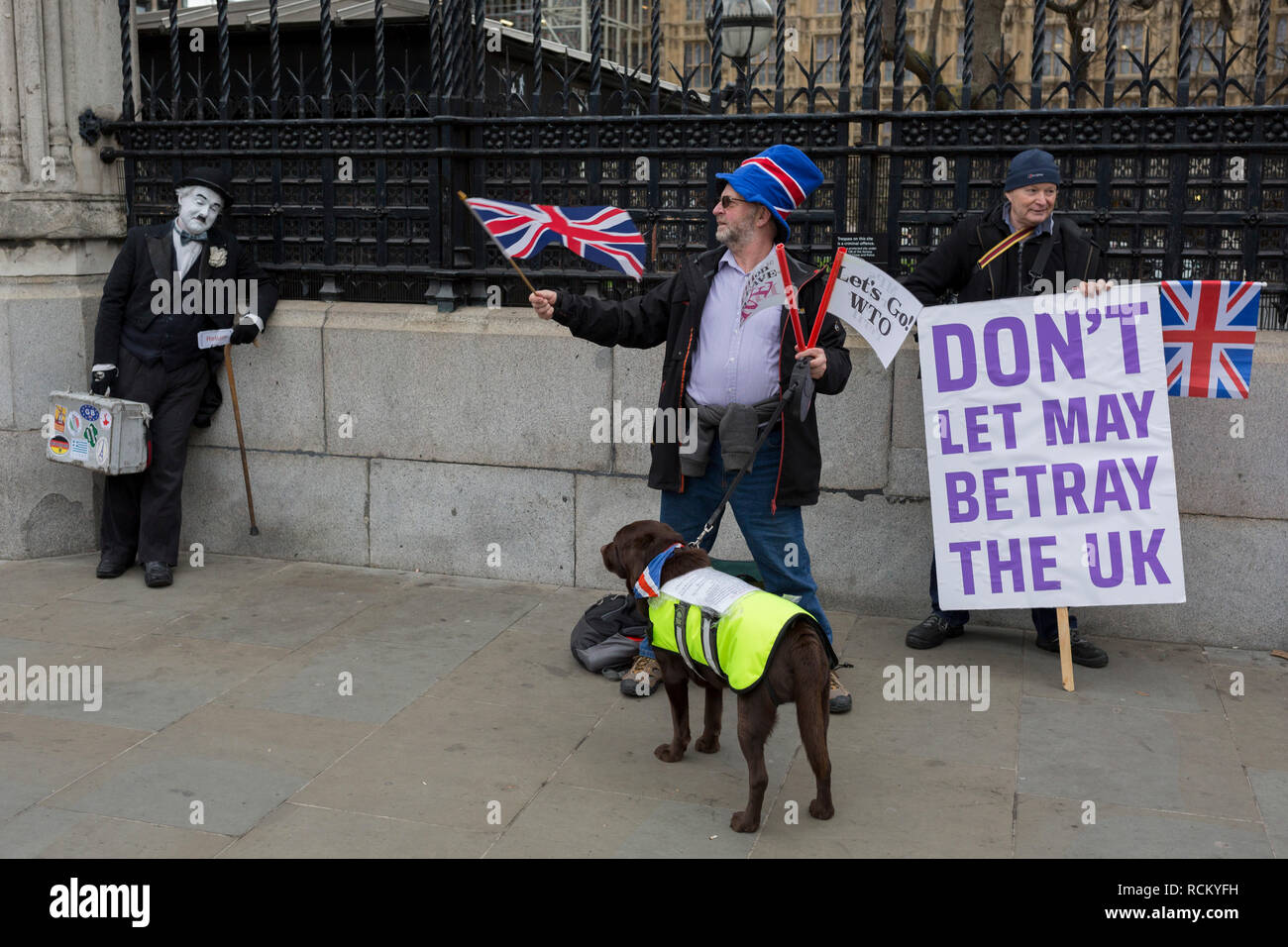 On the day that Prime Minister Theresa May's Meaningful Brexit vote is taken in the UK Parliament, Leave supporters protest at the railings of the House of Commons in Parliament Square on 15th January 2019, in Westminster, London, England. Stock Photo