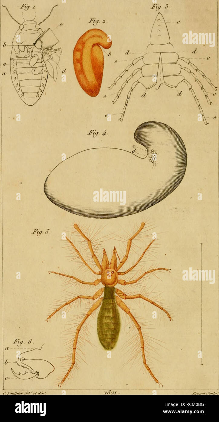 1846 N A High Resolution Stock Photography And Images Page 18 Alamy