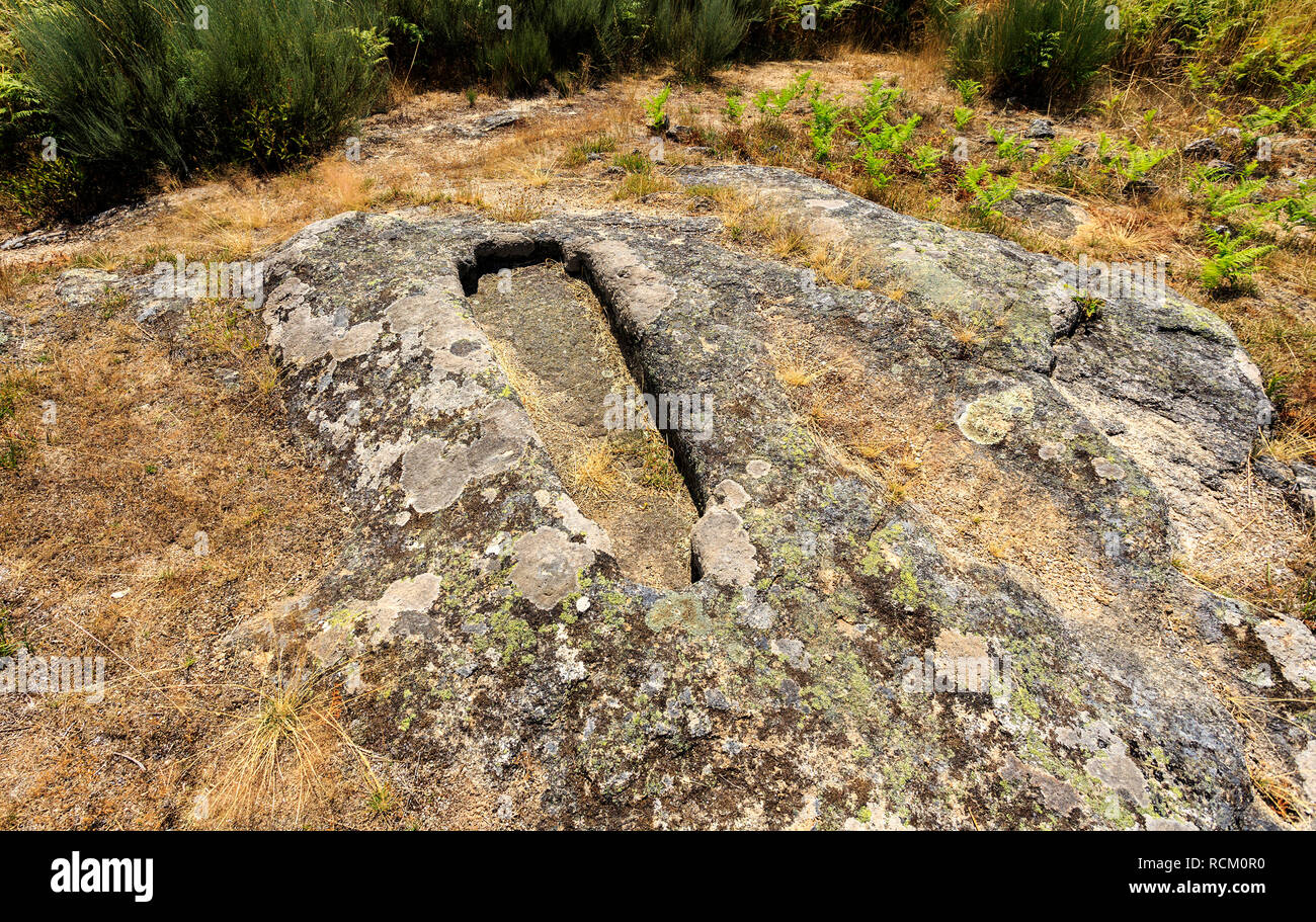 Cut out head view hi-res stock photography and images - Alamy