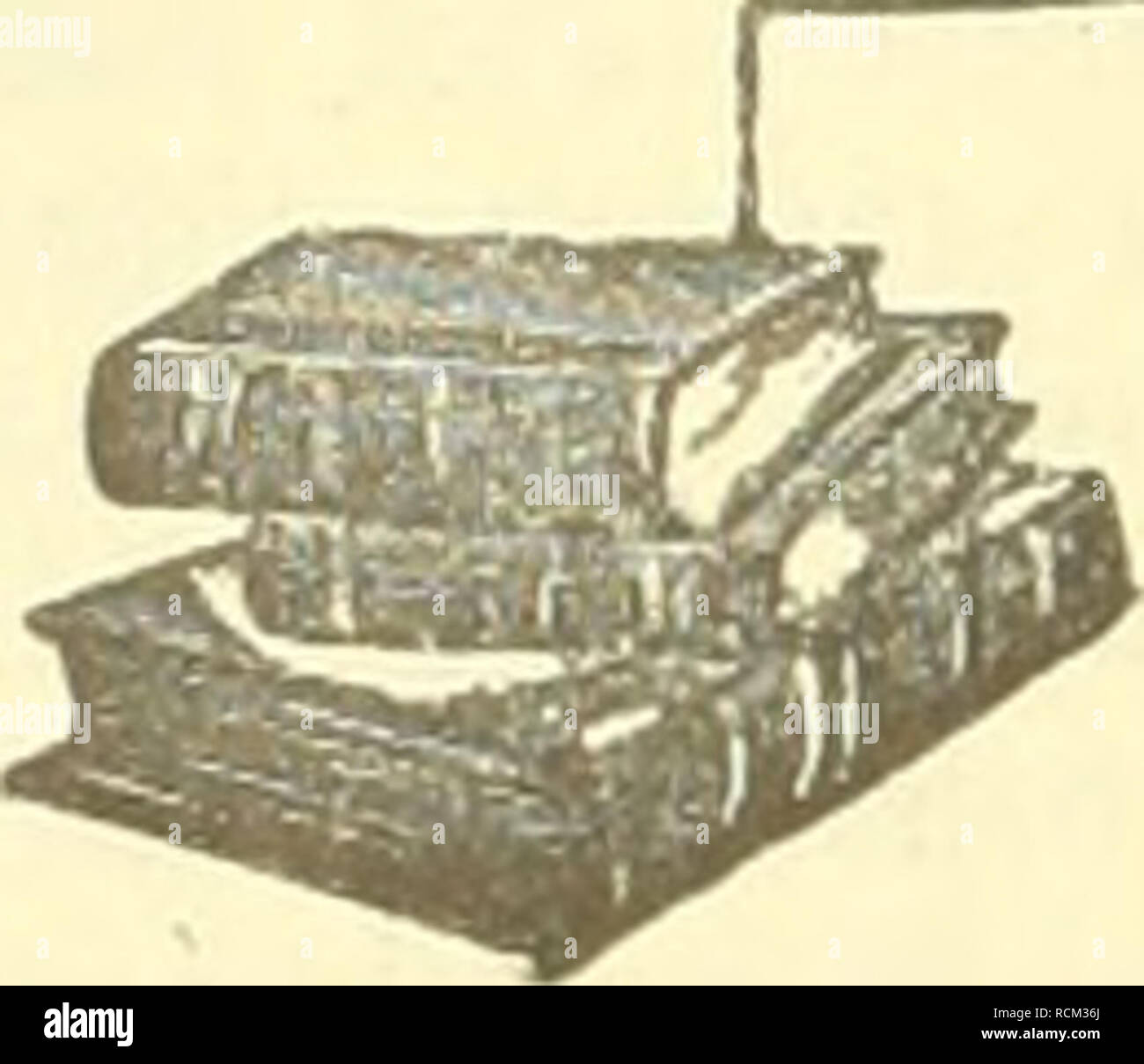 Nffn hi-res stock photography and images - Alamy