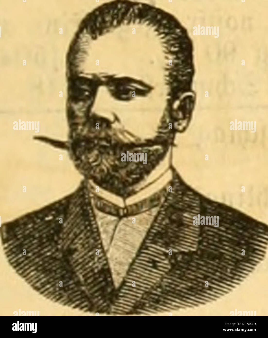 I Papagei High Resolution Stock Photography And Images Alamy