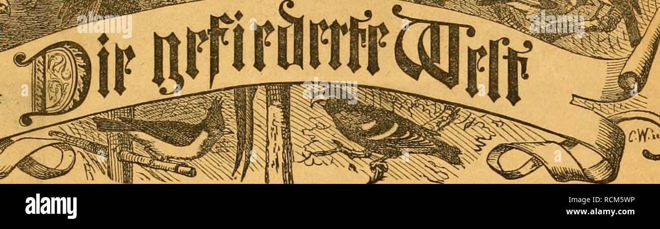 Die Gefiederte Welt Birds Sfe Ya S Siia Is 3citfd Rlft Fa R Sa Gelliewjnfier 3mjtci Nna A A Na Ler Sbeftca Imgen Bui D Jobc I Iid A Antlung Cmc Icbe Jcftanftalt Fveia Tici Teliabi Lirf 1 Iblr Sa Cf Cntltc Eine 9himmev