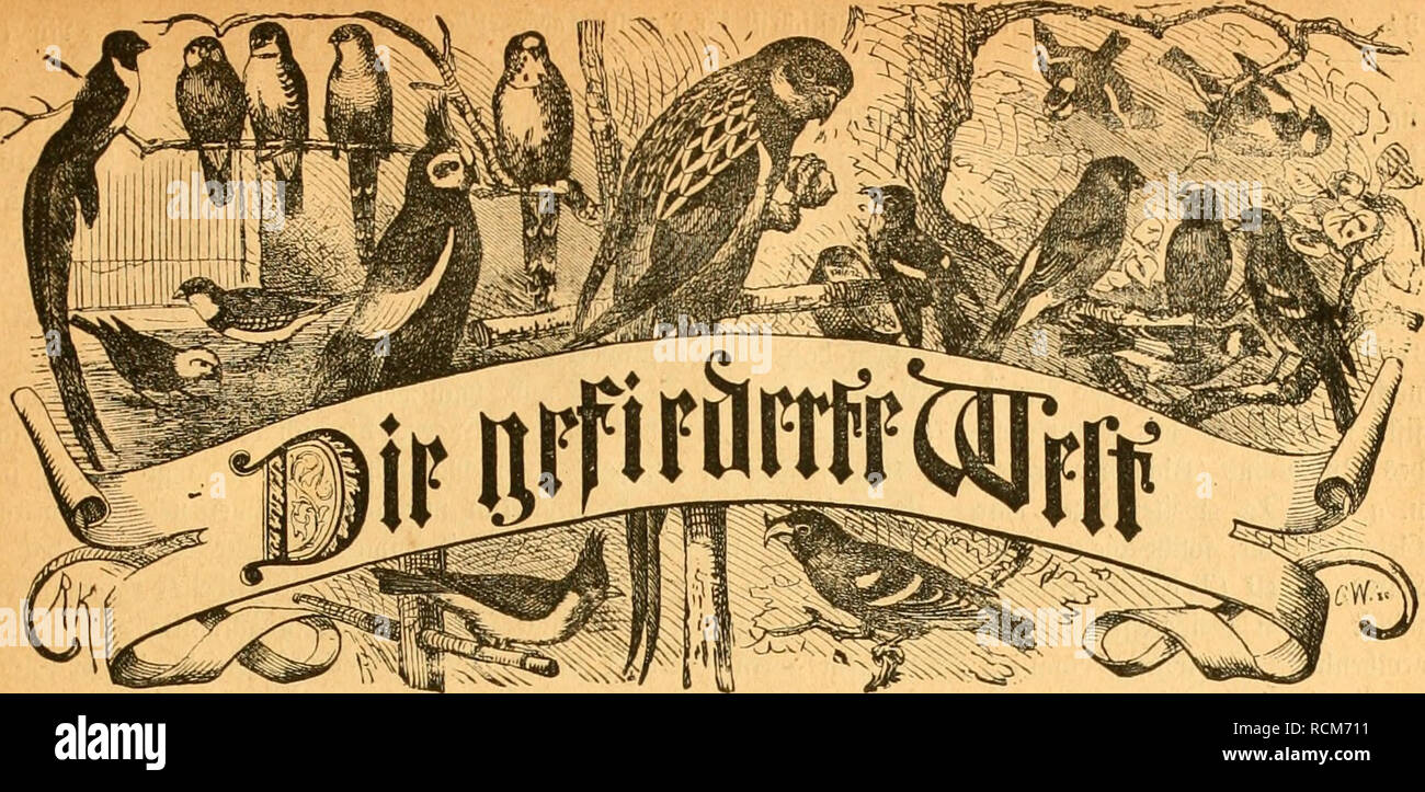 Li 2t High Resolution Stock Photography And Images Alamy