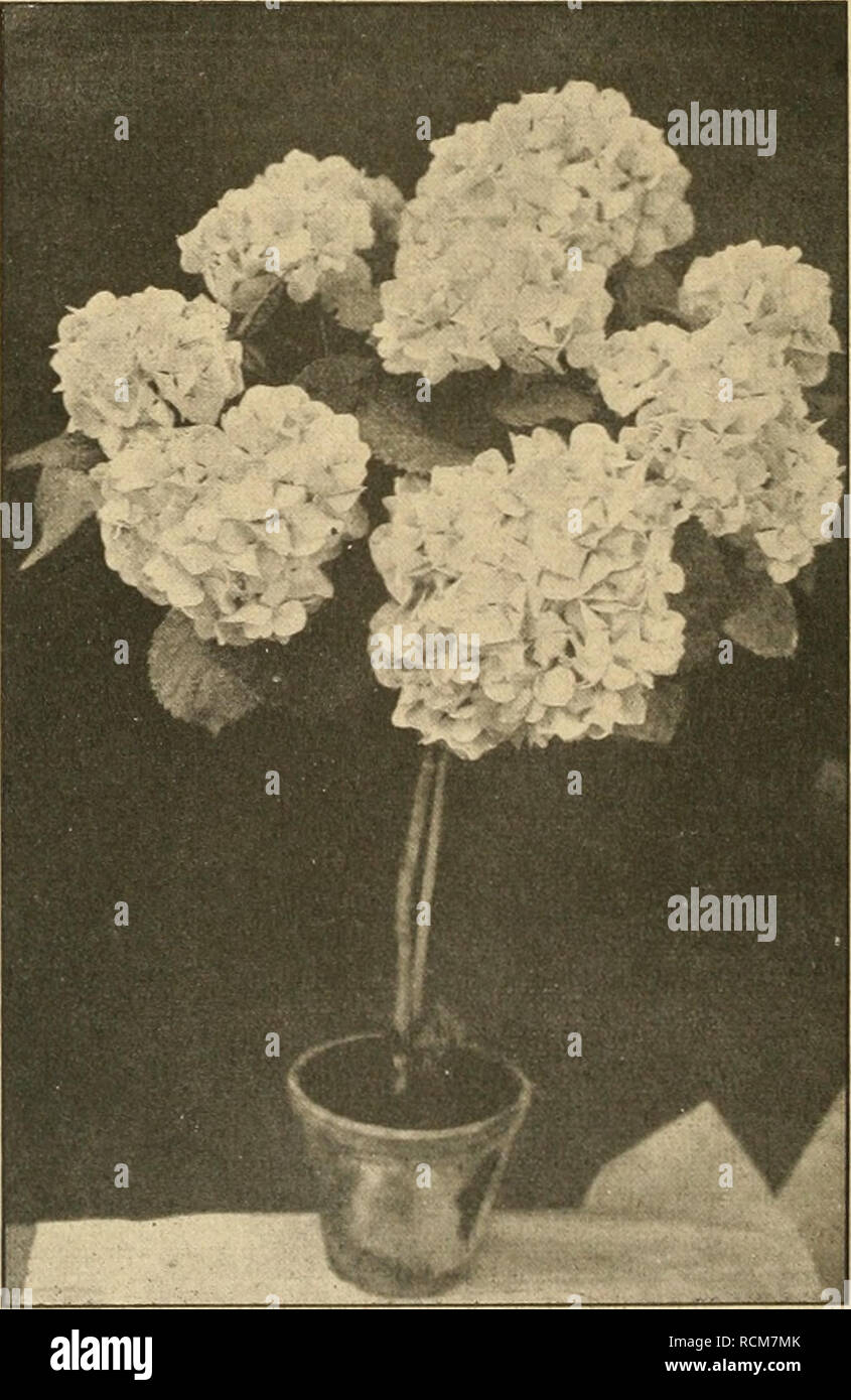 Get Geneigtheit For iPhone Geneigtheit