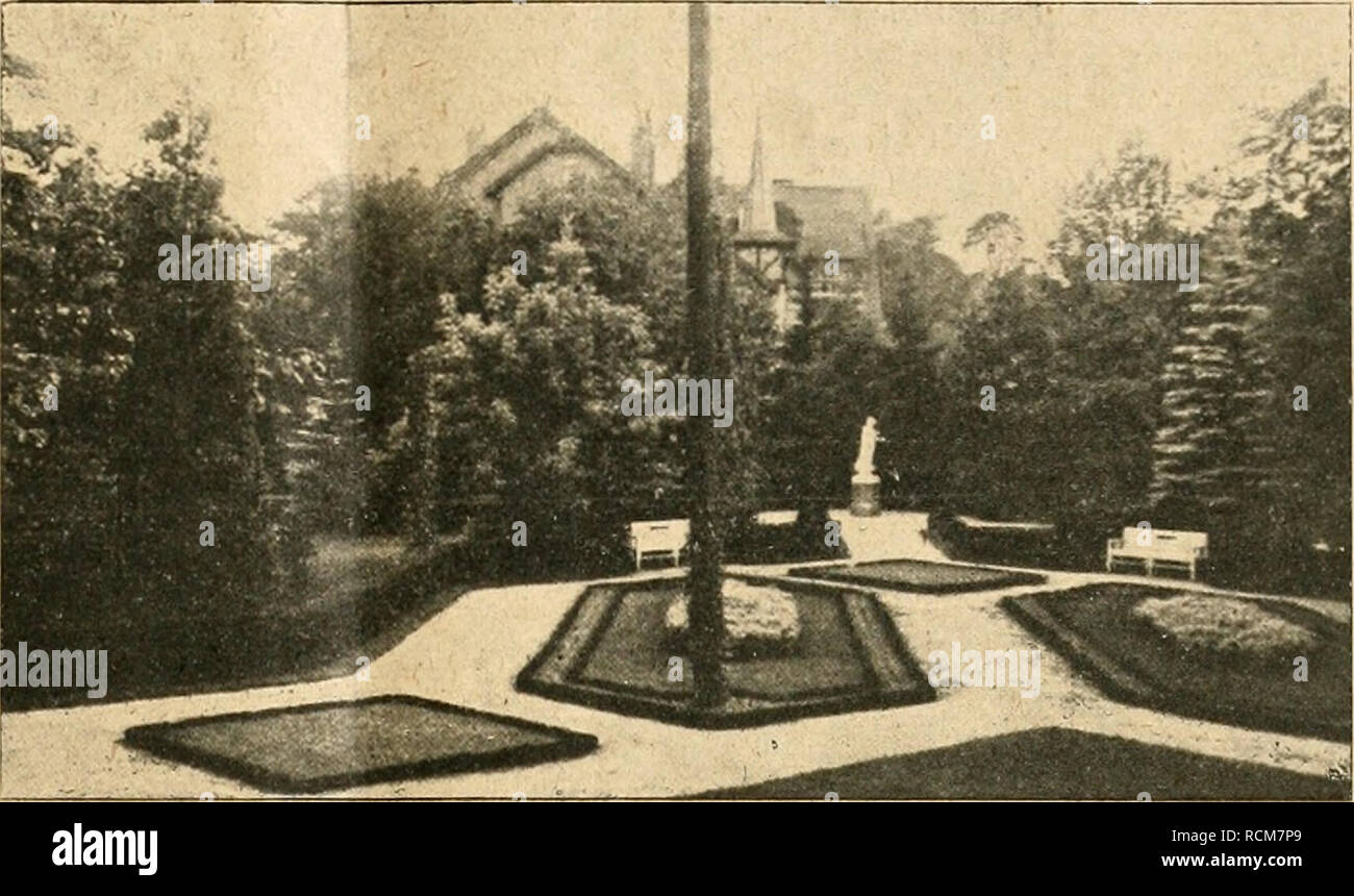 . Die Gartenwelt. Gardening. XXIII, 41 Die Garten weit. 323 reichblühende Schnittblume empfiehlt, car- dinalis, brillant magentarot, und Feuerkönig. Von nana compacta werden alba, caerulea und Mischung angeboten. Nana, die niedrige Spielart, traf ich in der Stadtgärtnerei zu Neiße in voller Blüte. Ihre zierliche Gestalt mit ihren mit Augen- fleck versehenen Blumen machte einen recht angenehmen Eindruck, welcher durch das schöne Farbenspiel gehoben wurde. Weigelt, Erfurt, hatte den Samen geliefert und hier- durch das Lob, welches er dieser Sommer- blume gab, bestätigt. Einen ganz besonderen Vor Stock Photo