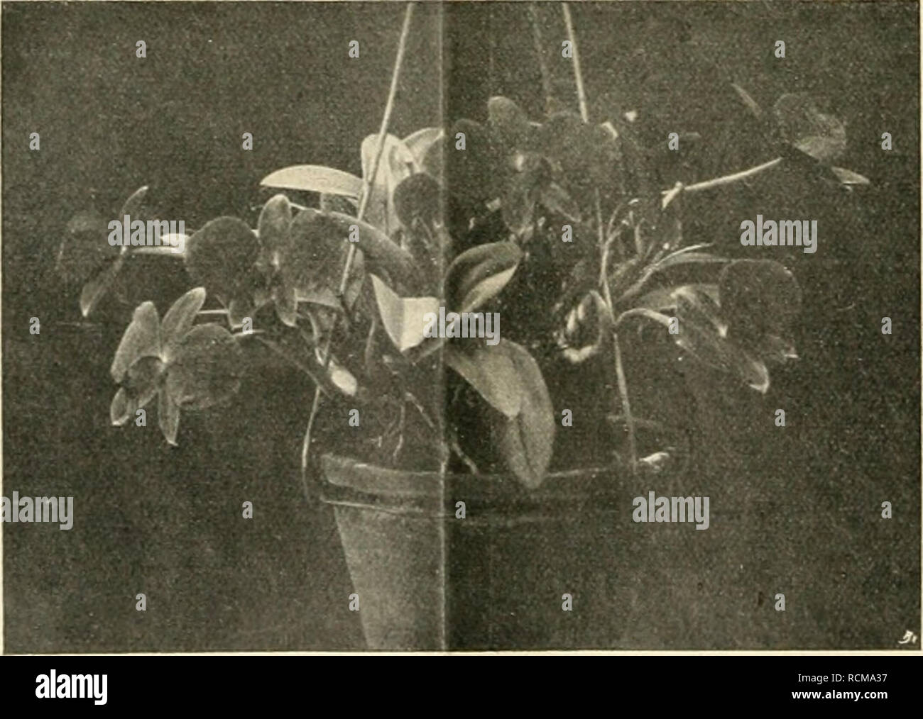 Komprimierter ton -Fotos und -Bildmaterial in hoher Auflösung – Alamy