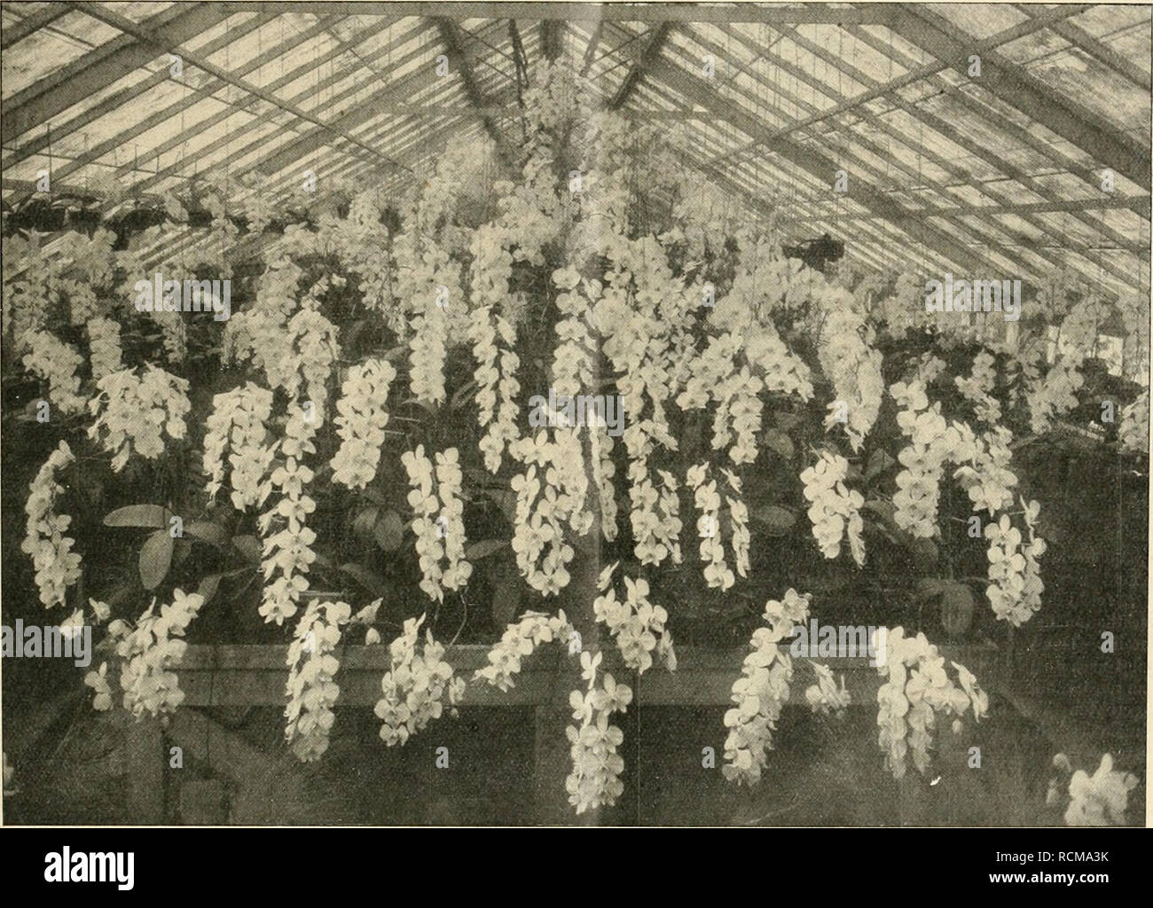 Die Gartenwelt Gardening Xx 16 Die Gar Teil Weit 183