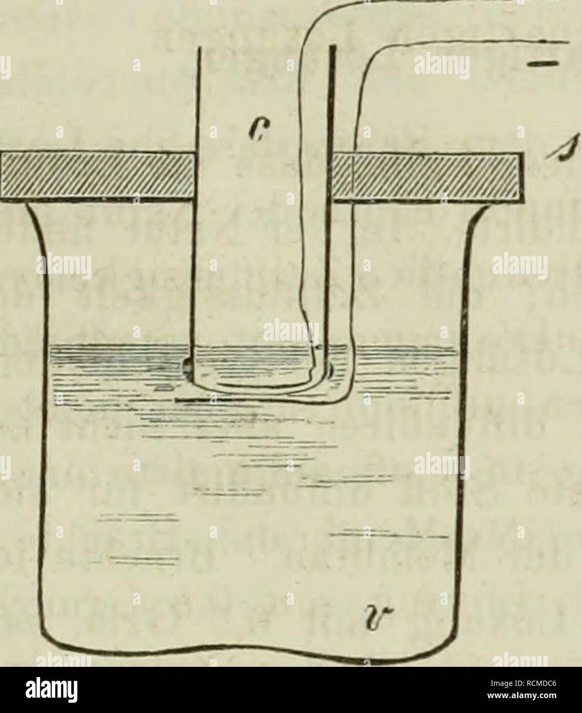 . Die Ernährung der Pflanze : mit besonderer Berücksichtigung der Culturgewächse und der landwirthschaftlichen Praxis nach den neuesten Forschungen für Landwirthe und Pflanzenforscher. Plants. 53 Fig. 20.. drath angelöthet war. Uiiterhall; der Membran, an dieselbe an- gedrückt, befand sieh ein starkes Platinblech, an welchem eben- falls ein Drath angelöthet war. Nebenstehende Figur zeigt den Durchschnitt des Apparates. DieDräthe gingen zu einem galvanischen Apparate und konnten an den Polen desselben befestigt werden. Mit zwei Kohlen- Zink-Elementen konnte ich ziemlich starke Wirkungen hervorb Stock Photo