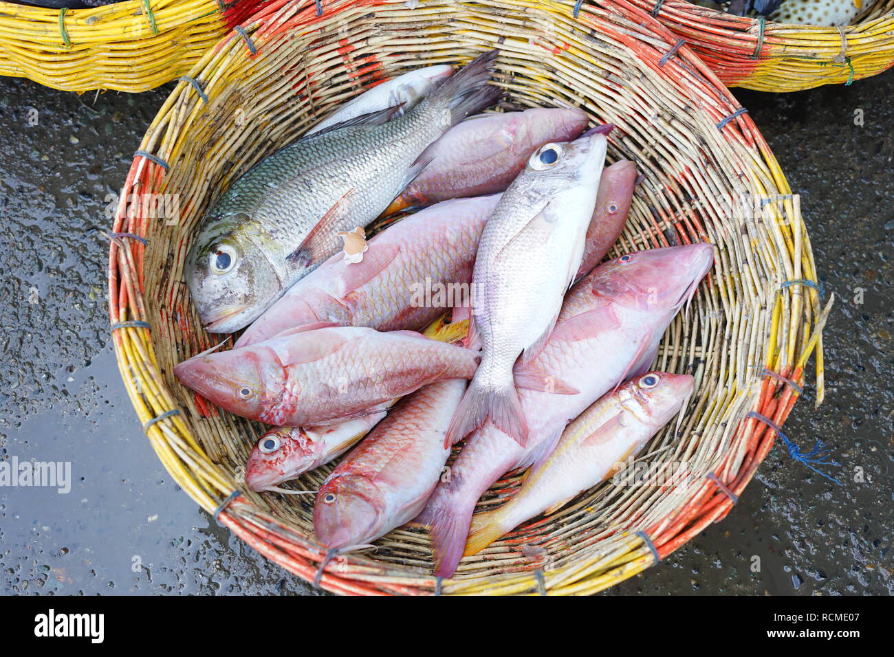 Fresh Tropical fish on basket for sale at Seafood Market Stock Photo