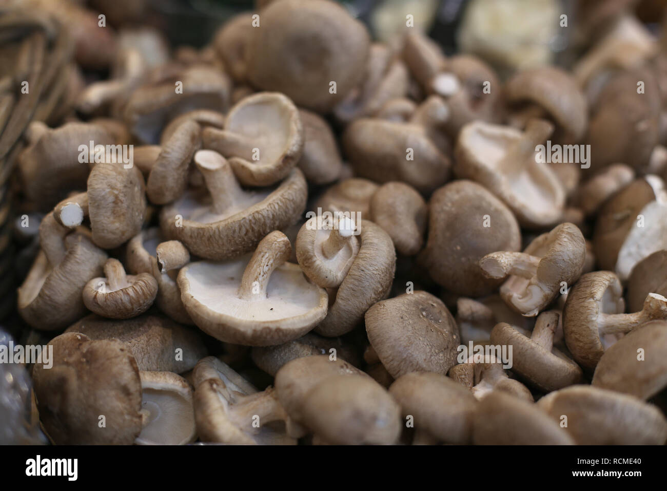 Shiitake mushrooms background fresh vegetables. Japanese traditional food and herbs. Stock Photo