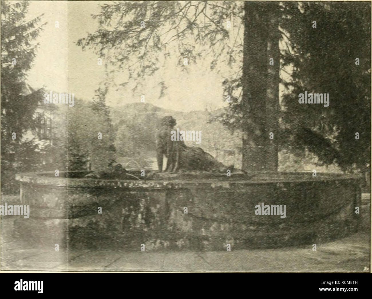 Download Spruch wald ruhe Desktop Wallpaper Spruch Wald Ruhe