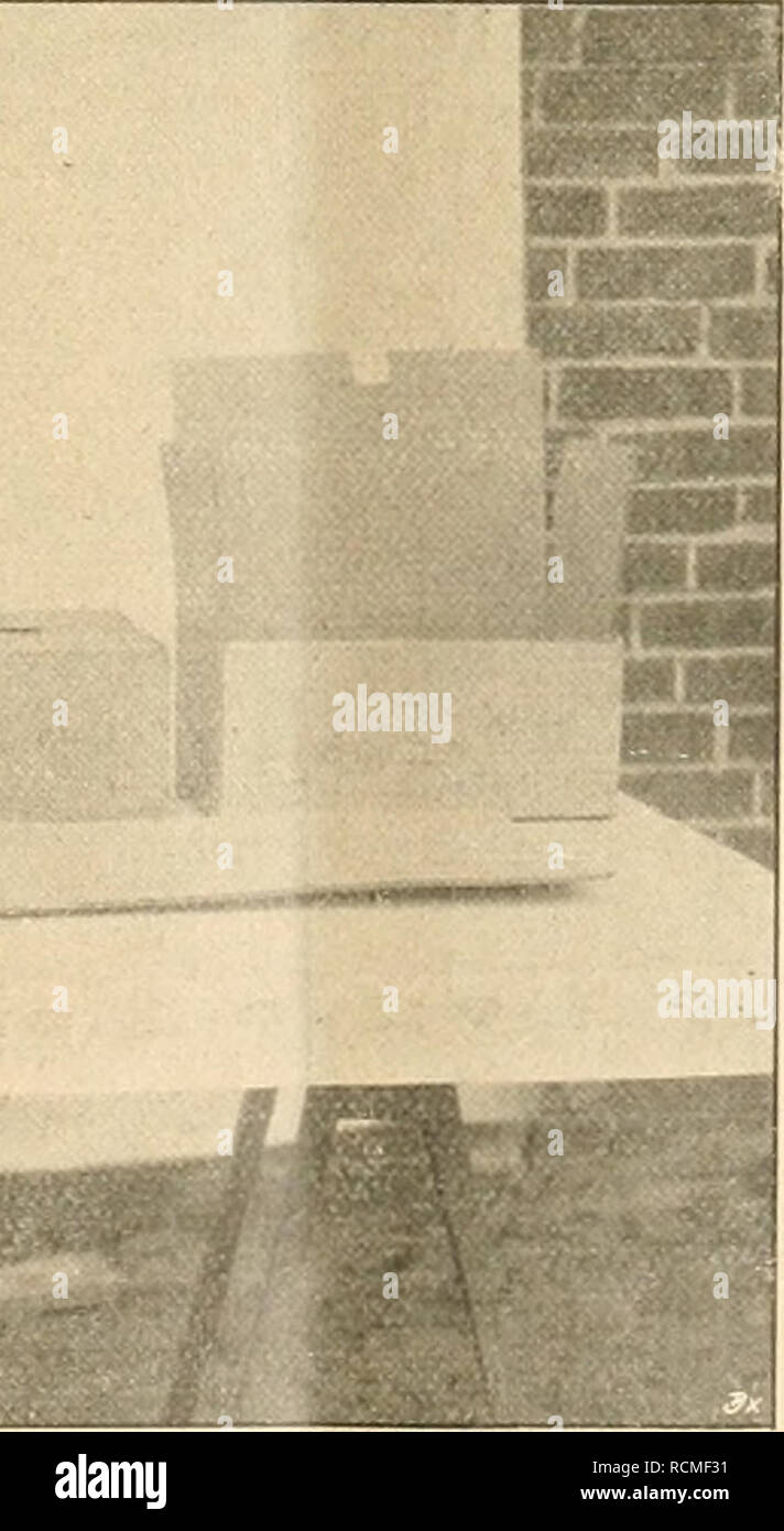 Die Gartenwelt Gardening Arbeiterinnen Wahrend Ich Selbst Packe Es Durfen Nicht 2 Fruchte Gegeneinanderstossen Sie Werden