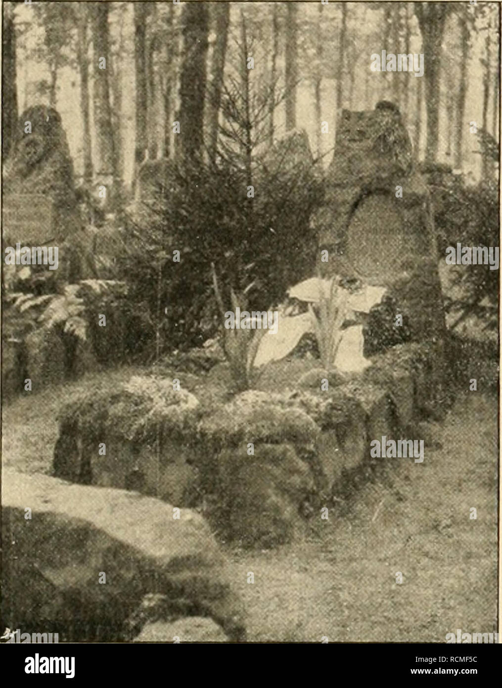 Minentrichter High Resolution Stock Photography and Images - Alamy