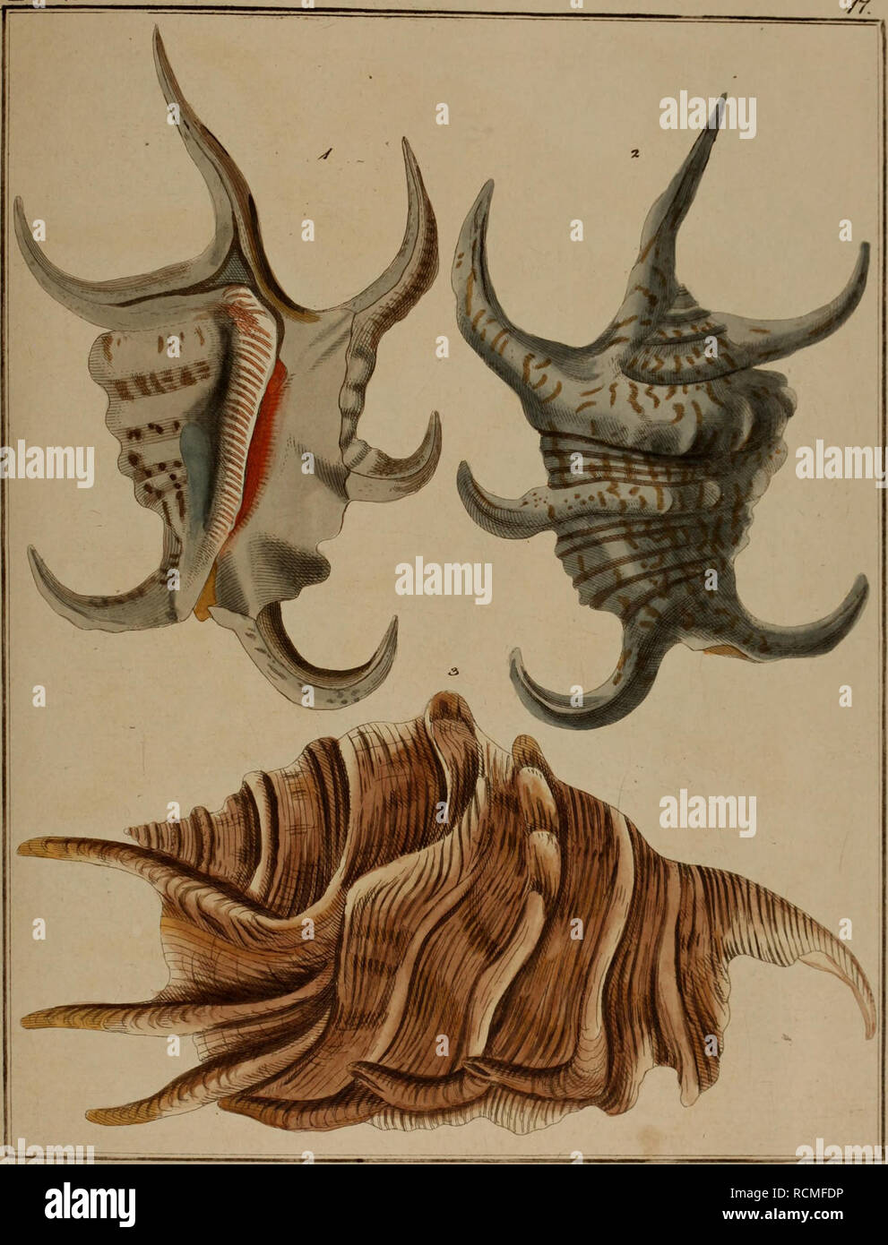 W C Bauer High Resolution Stock Photography And Images Alamy