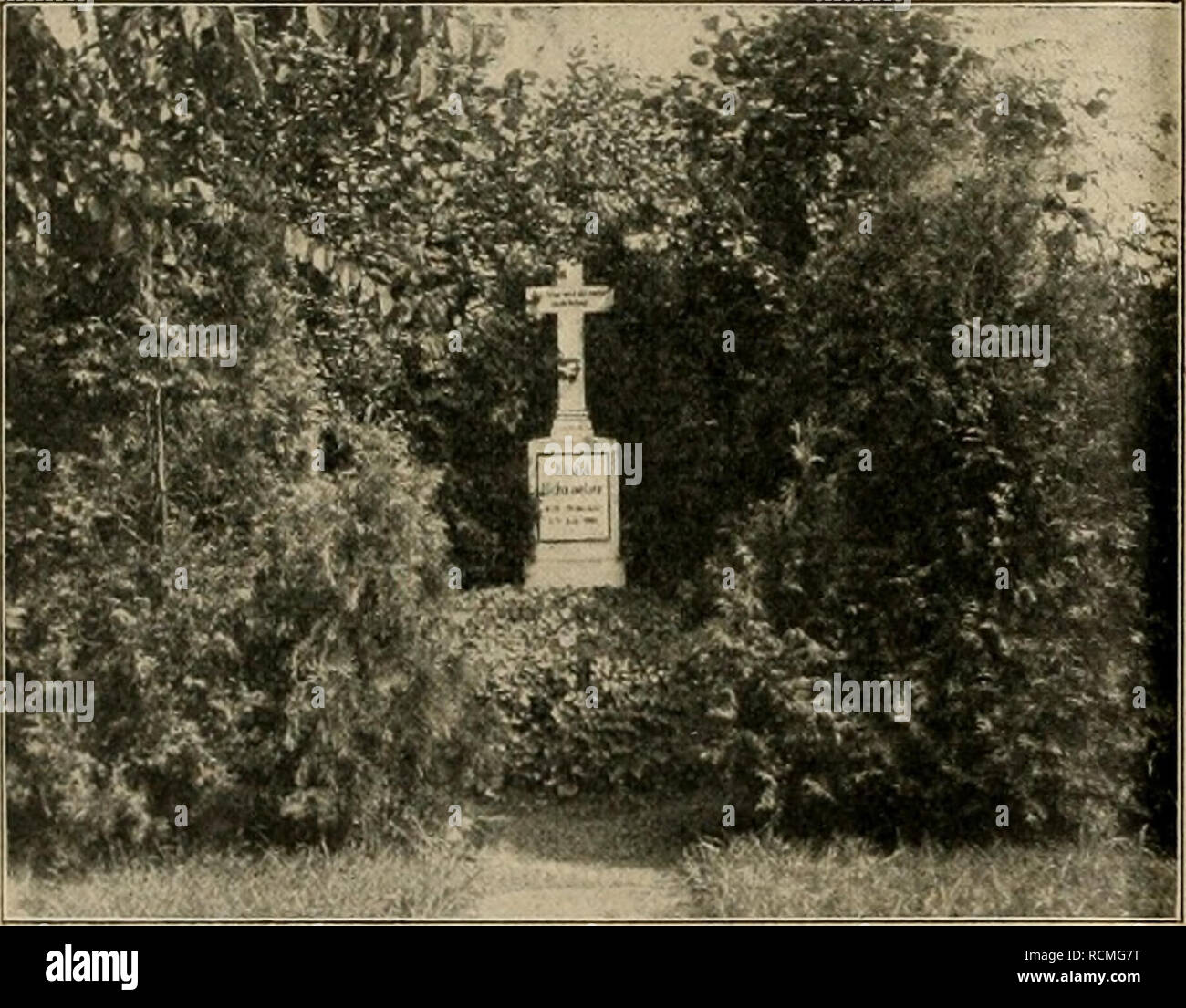 Die Gartenwelt Gardening 330 Die Gartenwelt Xviii 2i Mussten Wenn Sie Gehort Werden Sollen Die Gartner