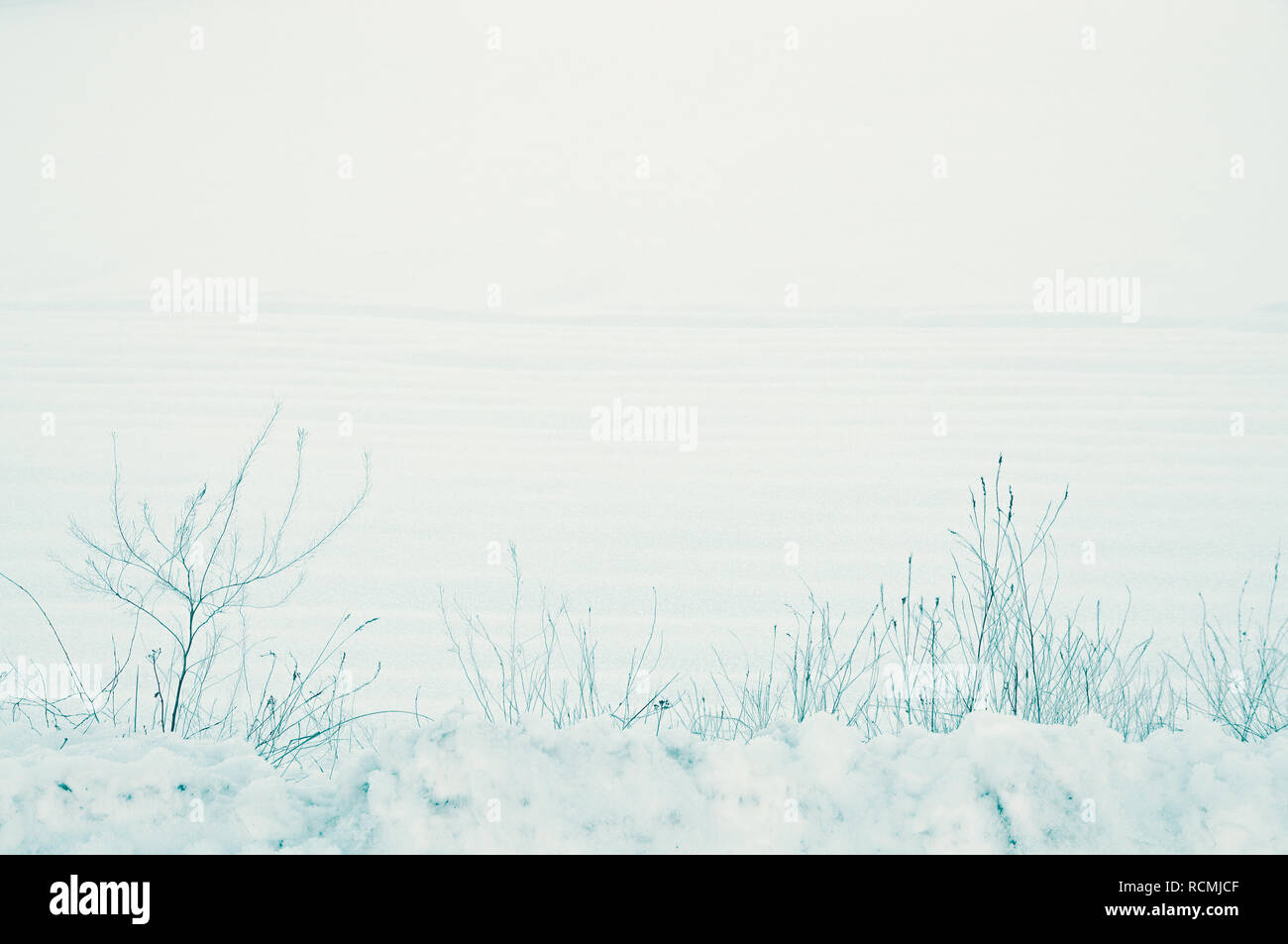 Peaceful, rural winter landscape of cold snow covering the ground of farmland in the countryside a silent December morning. Soft blue color tones and copyspace Stock Photo