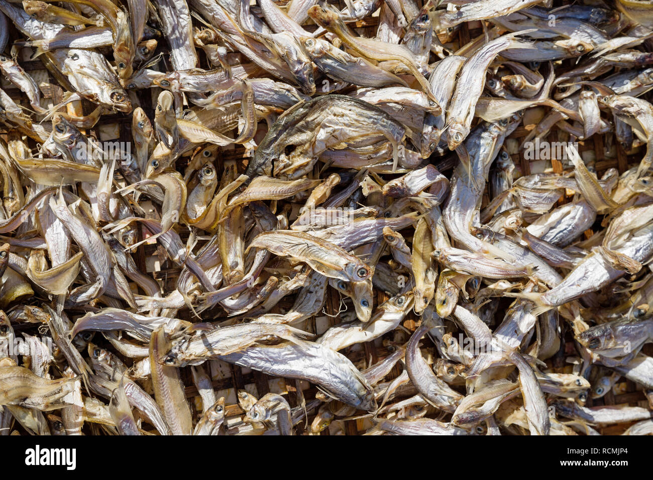 dried fish drying on a basket tray in Laos Stock Photo
