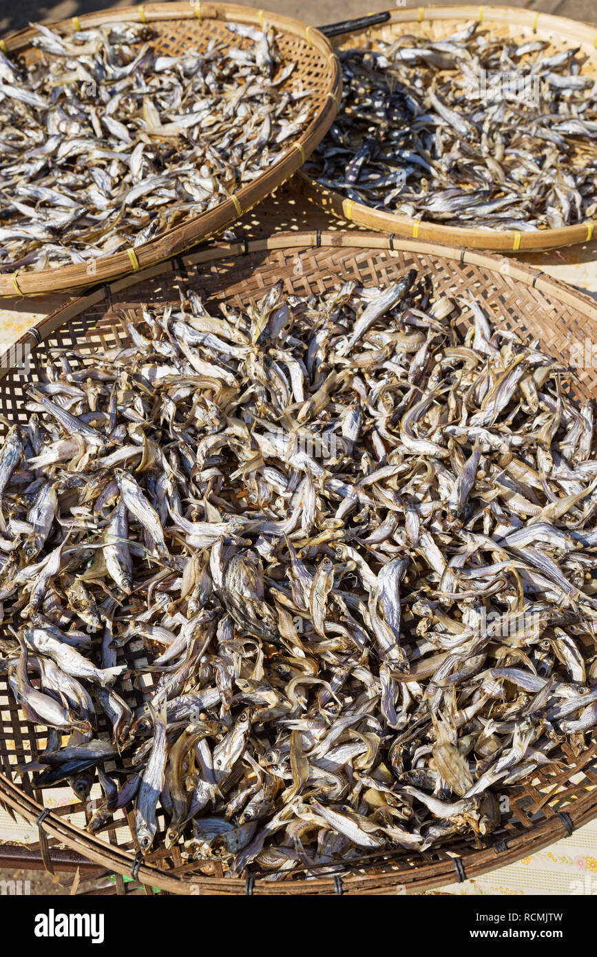 drying little fish in basket trays on a table in Laos Stock Photo