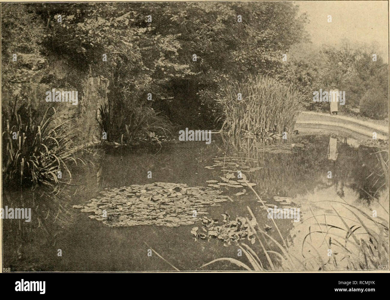 Schweizer Garten High Resolution Stock Photography And Images Alamy