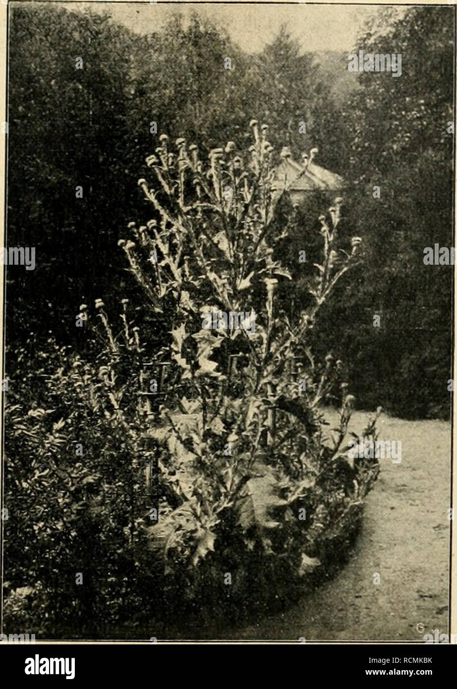 Julius Simon High Resolution Stock Photography And Images Alamy