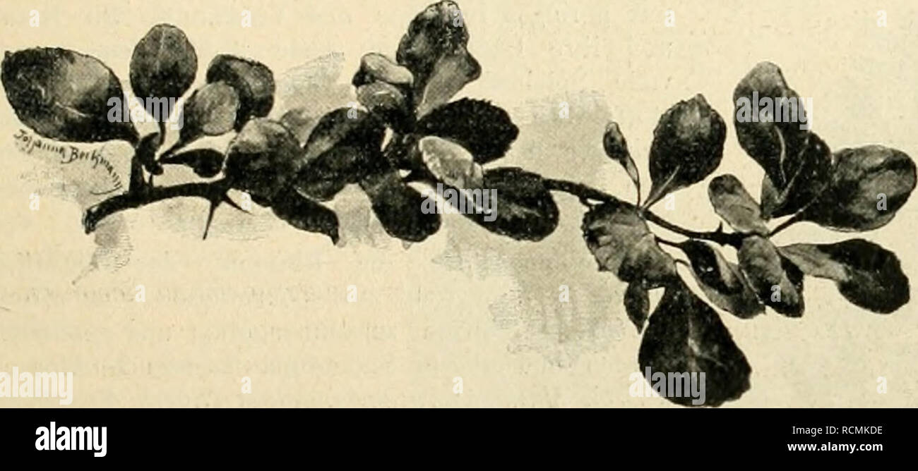 Page 2 Baumschulenweg High Resolution Stock Photography And Images Alamy