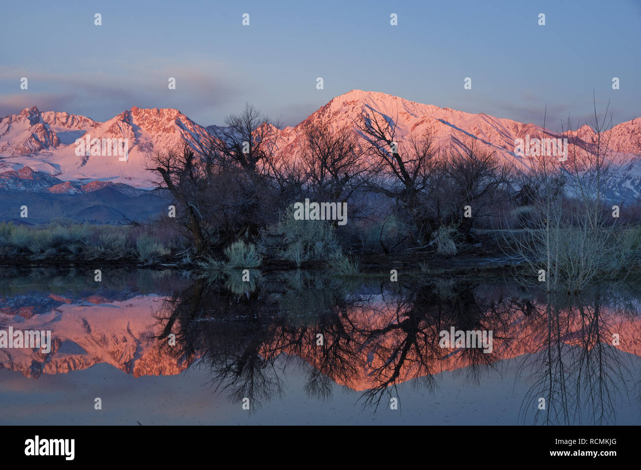 sunrise on the Eastern Sierra Mountains reflected in a pond near Bishop California Stock Photo