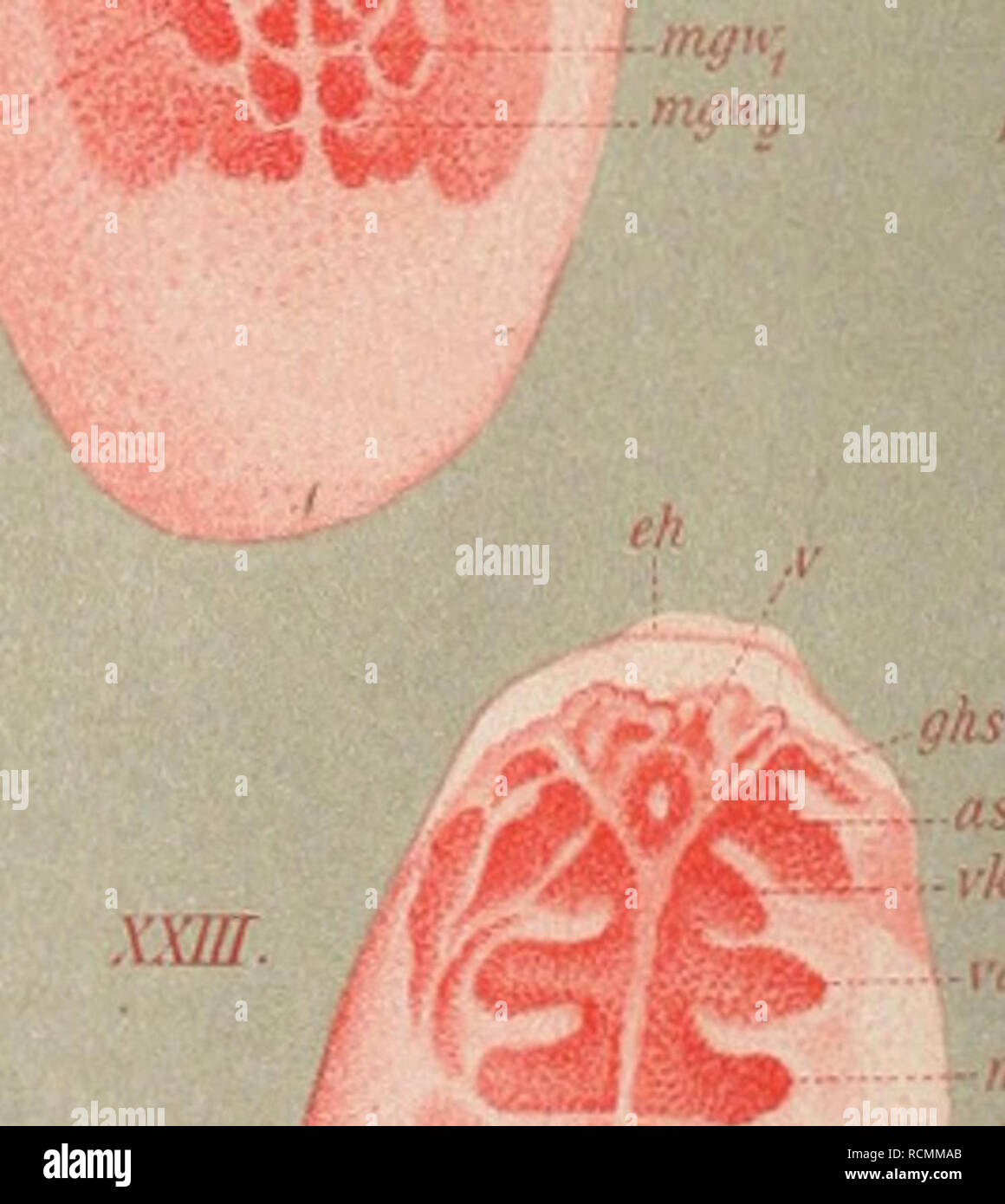 Download Lebe im hier und til nu HD Lebe Im Hier Und Til Nu