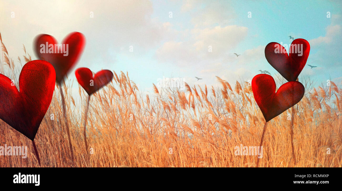 Valentines day. Valentines background with spring nature.  Love red background. Valentines day empty display Stock Photo