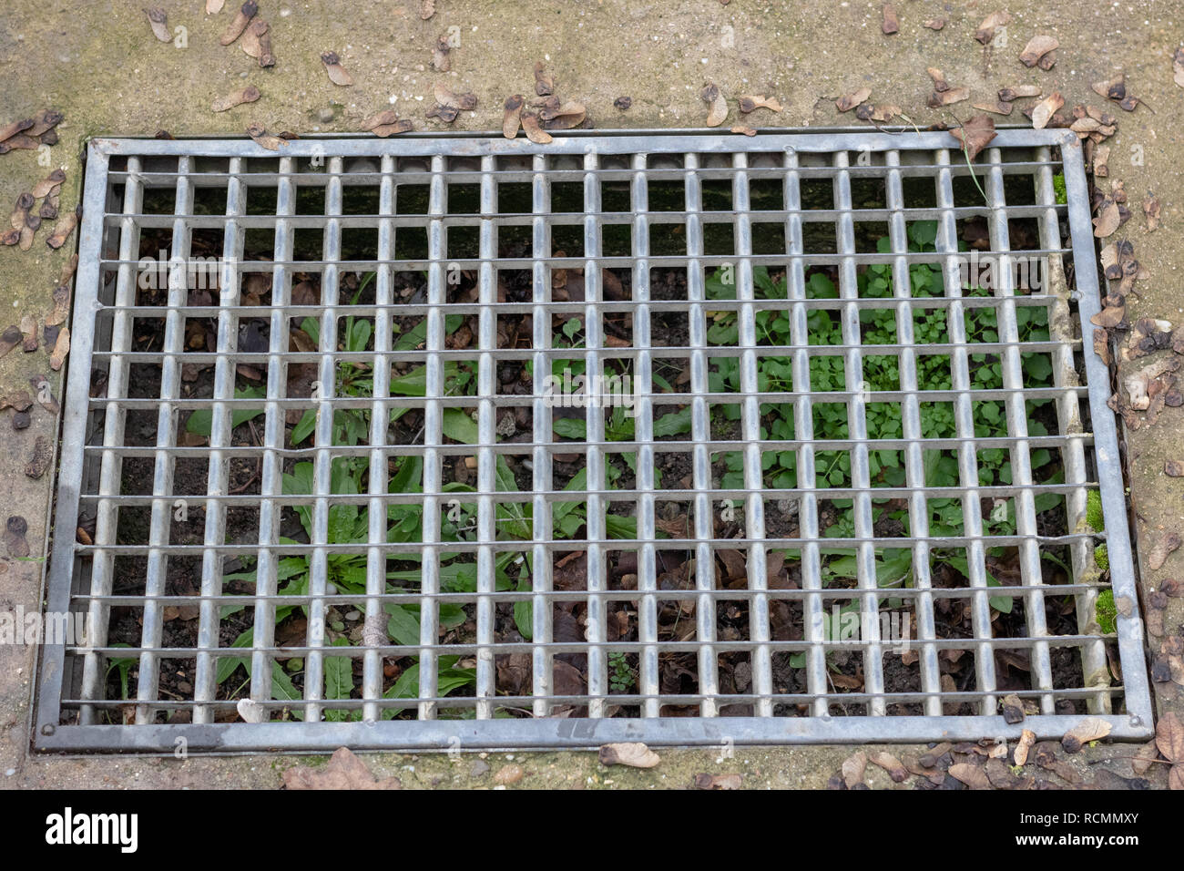 waterway and road - grass. iron grate of water drain in grass garden field. Steel rusty grating in the Grass garden and concrete. Manhole cover metal  Stock Photo