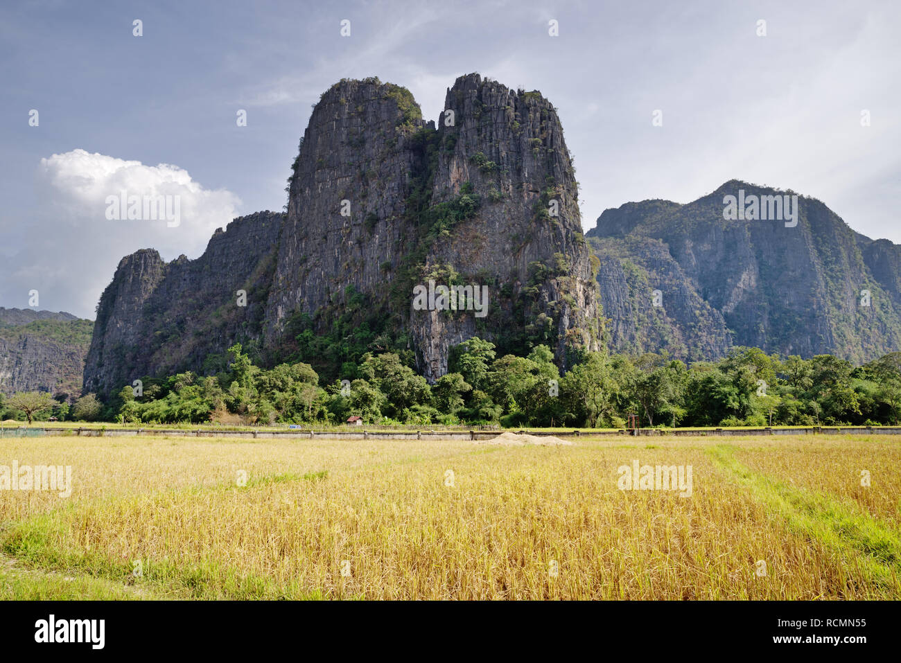 karst mountain in Laos rising above a rice paddy near Konglor Stock Photo
