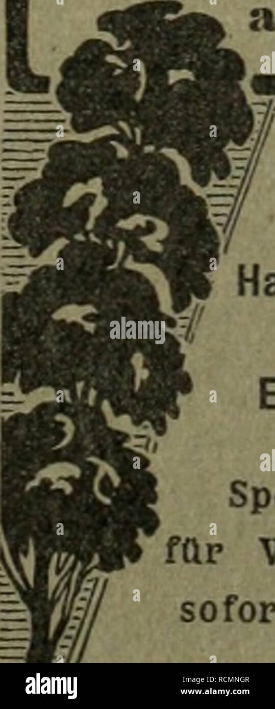 Existenzgrundung Stock Photos & Existenzgrundung Stock Images - Alamy