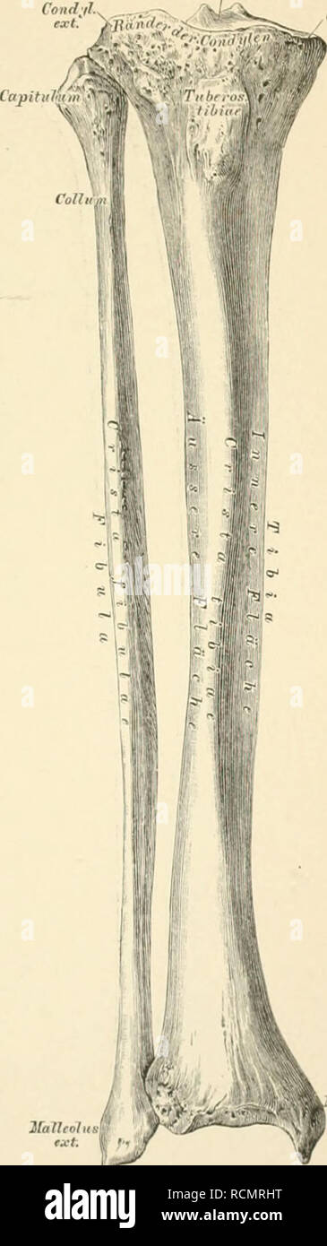 Tubero High Resolution Stock Photography And Images Alamy