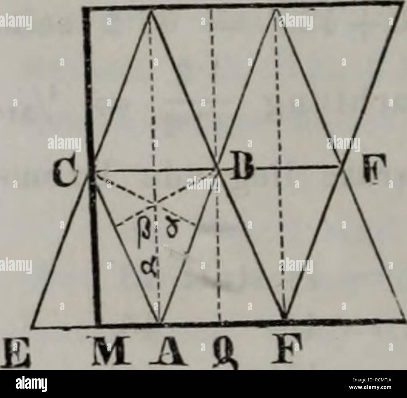 . Die Diatomeen der hohen Tatra. 22 z. B. Fpithemia proboscidea