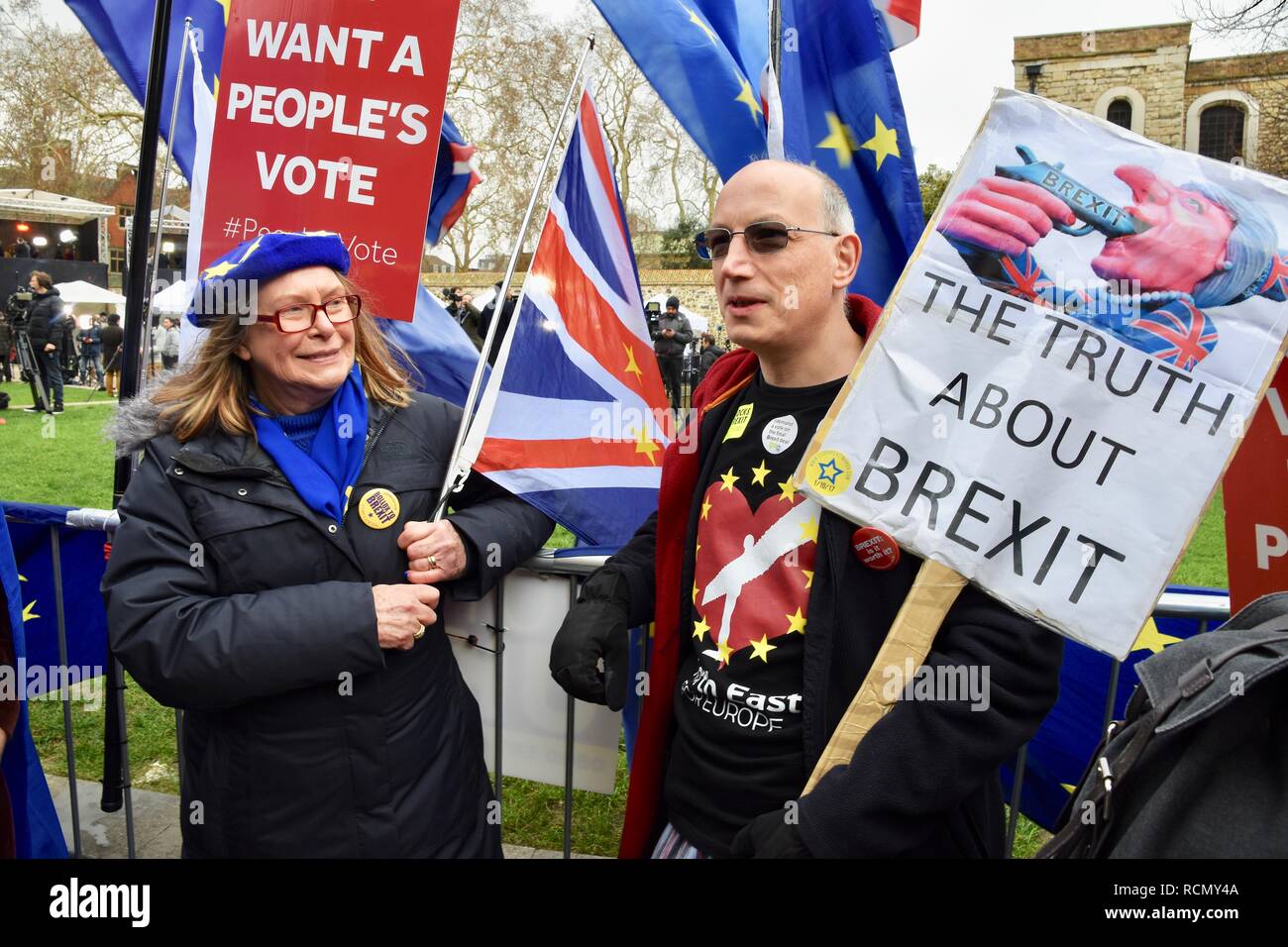 Remainers,Pro and Anti Brexit Protesters gather outside Parliament on the day of Theresa May's meaningful vote.Houses of Parliament,Westminster,London.UK Stock Photo
