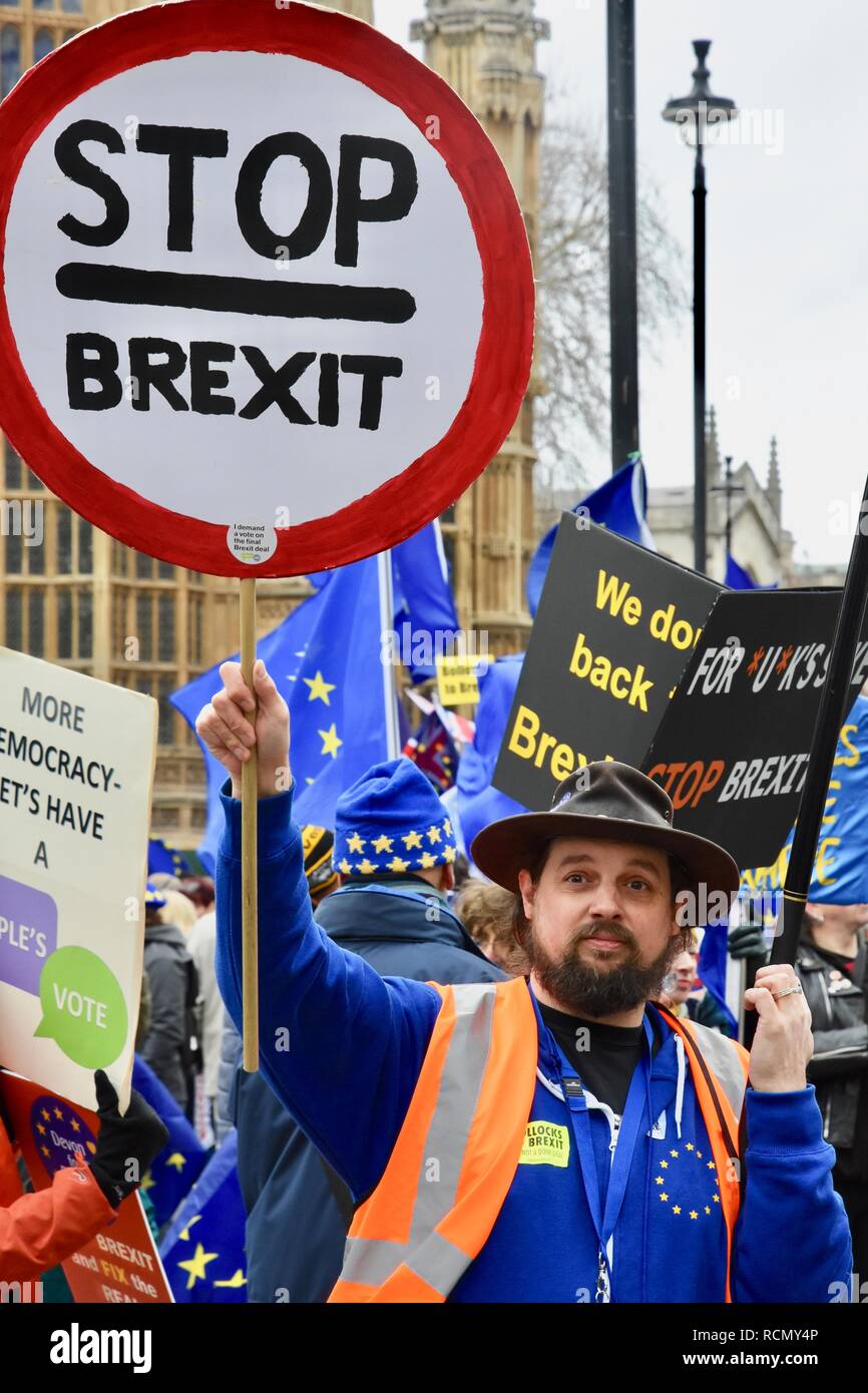 Remainers,Pro and Anti Brexit Protesters gathered outside Parliament on the day of Theresa May's meaningful vote.Houses of Parliament,Westminster,London .UK Stock Photo