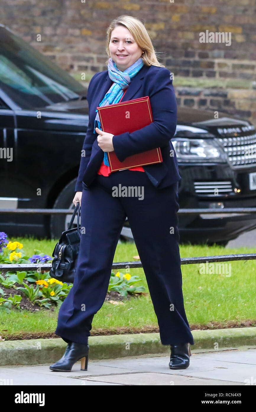 Karen Bradley - Secretary of State for Northern Ireland is seen on her arrival at the Downing Street to attend the weekly Cabinet Meeting. Later this evening, after five days of debate, MPs will vote on the British Prime Minister Theresa May's EU Withdrawal deal. Stock Photo